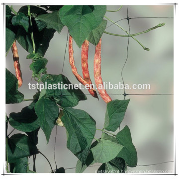 Plastic bi-oriented garden plant support trellis net supporting fruit climbing net